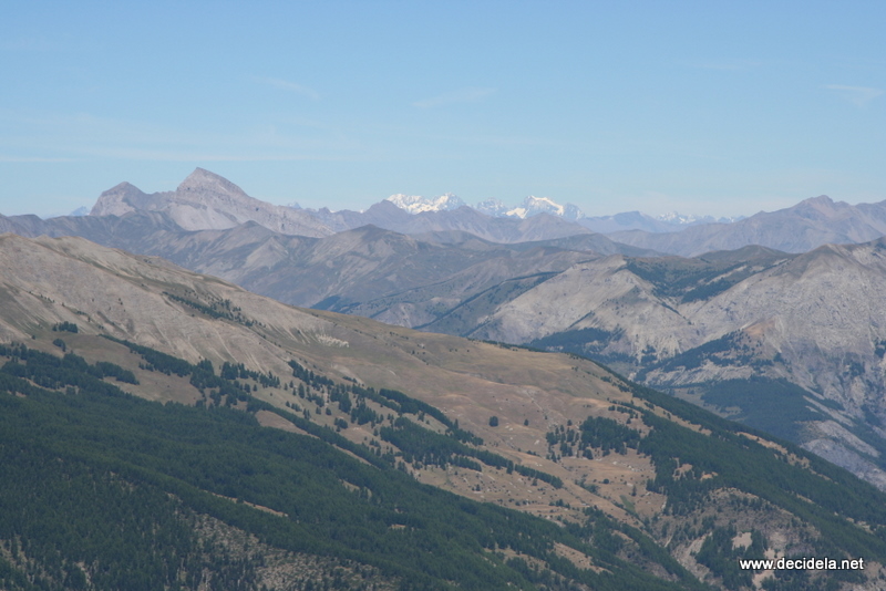 allos laupon