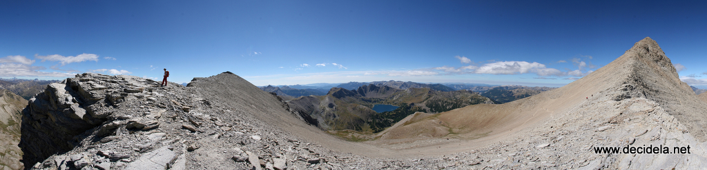 allos pelat