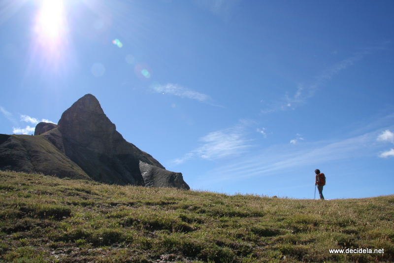 allos rochecline