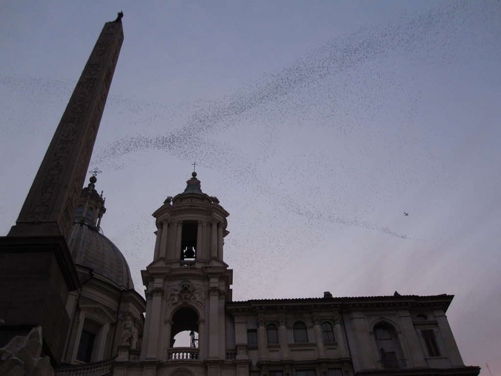 rome place navona