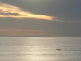 Les surfeurs dans l'eau jusqu'� la nuit