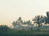 Balade aux alentours d'Ubud