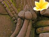 Fleur de frangipanier sur une statue � Ubud