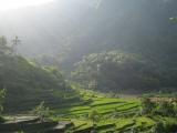 Les rizi�res de Tirtagangga