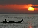 Culture des algues � Nusa Lembongan