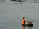 Culture des algues � Nusa Lembongan