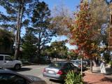 Carmel
