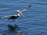 Pelican #2, 1 seconde avant impact
