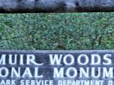 Muir woods, autre modele de la marque Marin