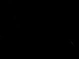 Une �toile filante