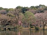 Jardin japonais dans le pard de Shinjuku