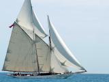 Photos prises lors des voiles d'Antibes 2007